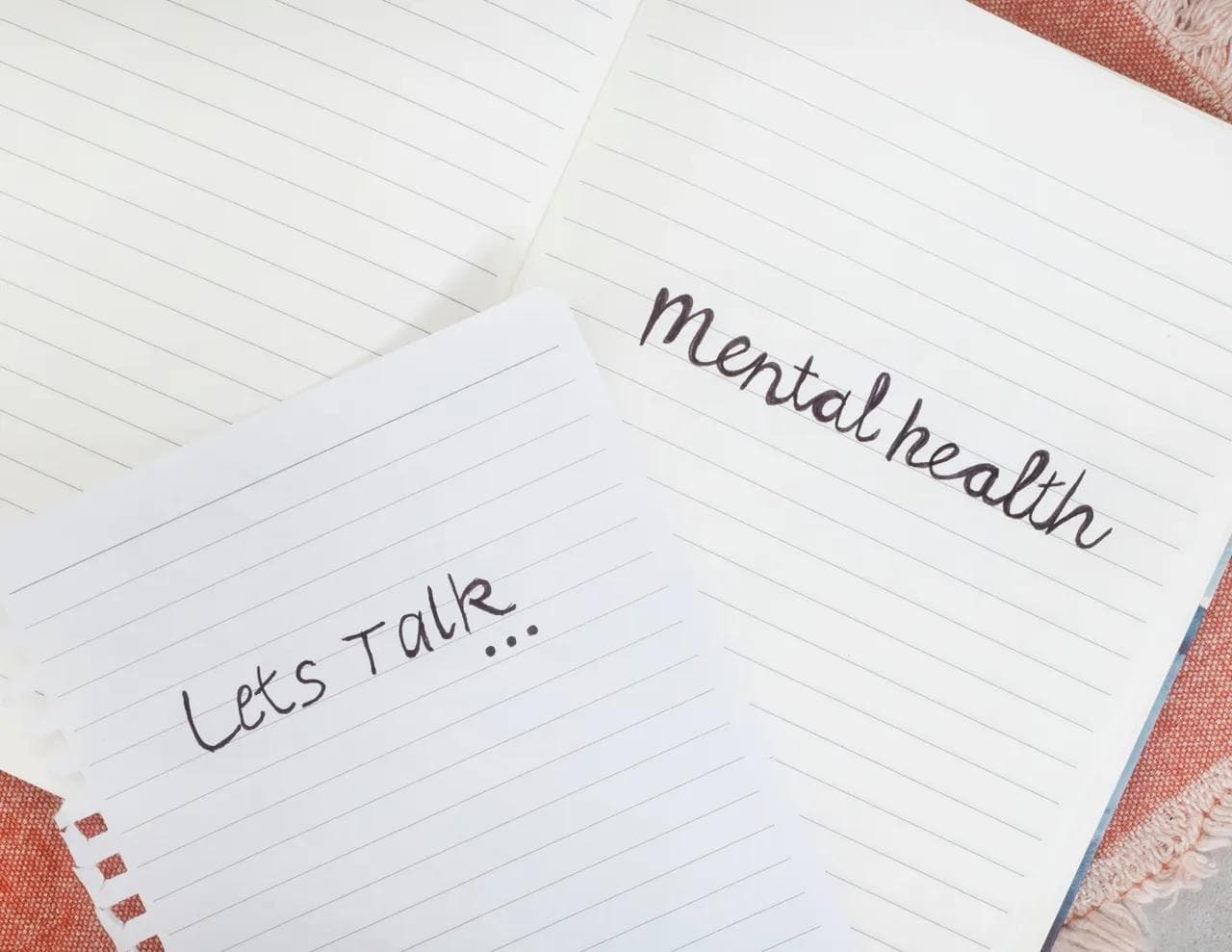 Mental Health Is an Important Swing Issue This Year
