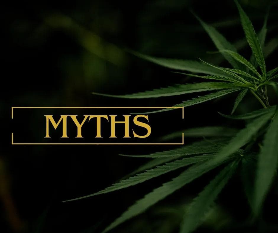 It’s Time to Debunk the Marijuana Myth